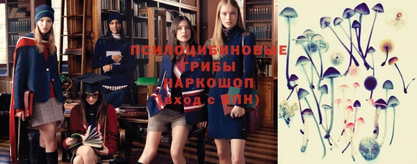 трава Инсар