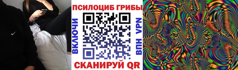 Купить закладки  Камень-на-Оби  Псилоцибиновые грибы GOLDEN TEACHER 