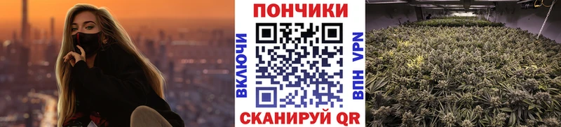 Конопля White Widow  Купить закладки  Камень-на-Оби 